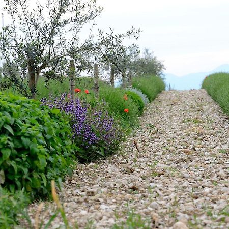 Agriturismo2Laghi ポンティ・スル・ミンチョ エクステリア 写真